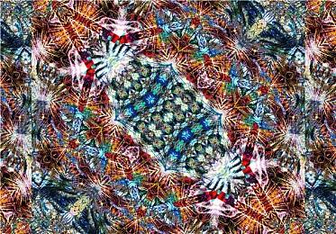 《尘封大陆》新实机视频介绍游戏设定＆战斗＆进度